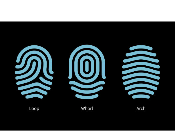 拇指指纹类型在黑色背景。图片下载