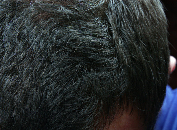 灰白的头发图片下载