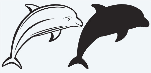 轮廓海豚图片下载