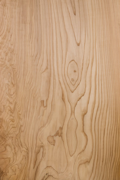 盘雪松图片下载