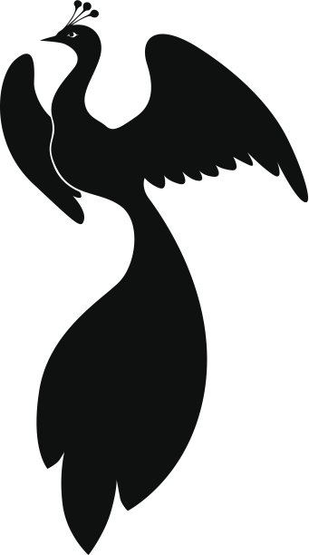 轮廓孔雀图片下载