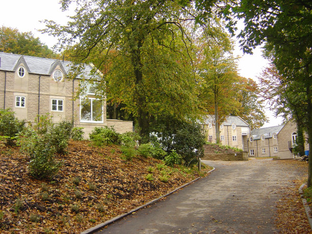 房子在树上图片下载