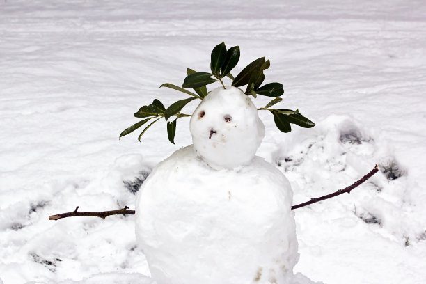 可怕的雪人图片下载