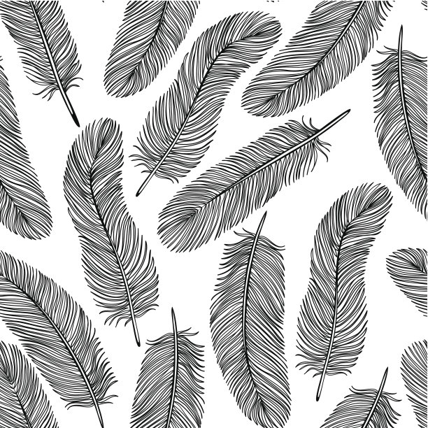 黑白羽毛无缝背景。图片下载