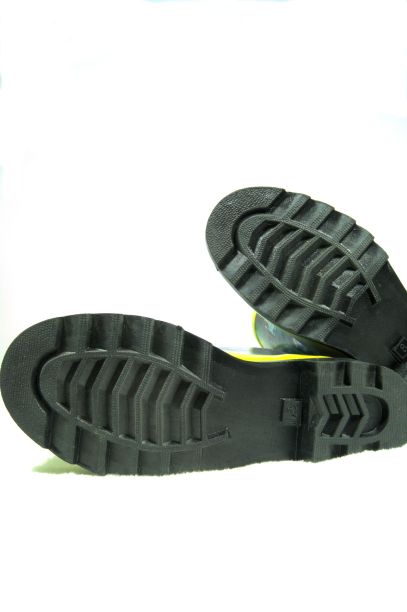 引导踏图片下载