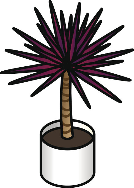 盆栽植物图片下载