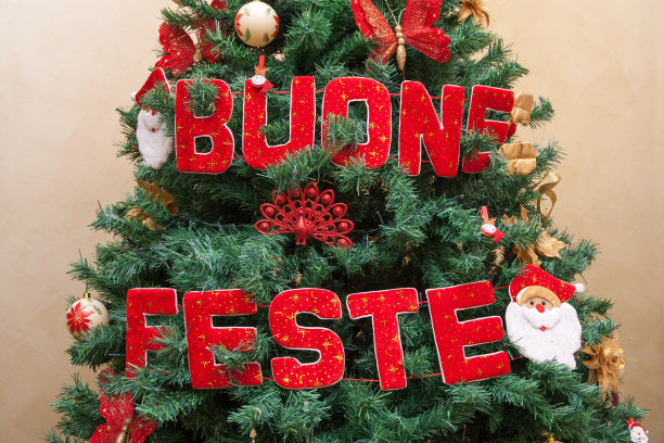 圣诞树图片下载