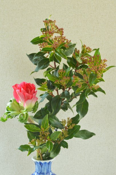 花瓶里的花图片下载