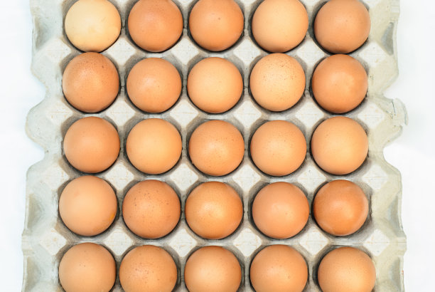 鸡蛋盒里的棕色鸡蛋图片下载