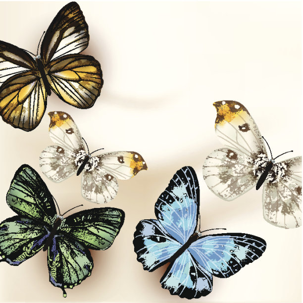 时尚矢量背景与蝴蝶图片下载