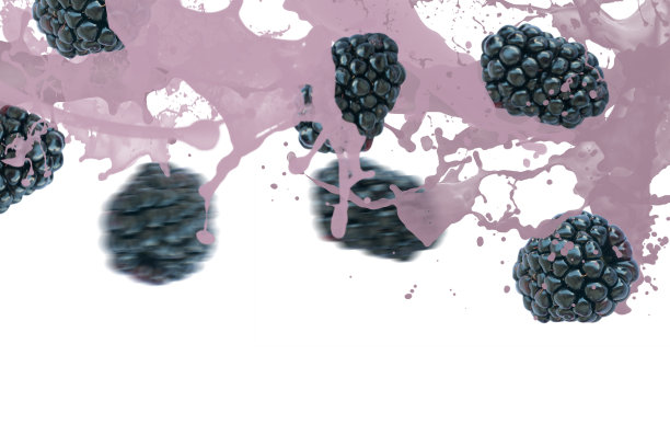 浆果掉进了酸奶里图片下载