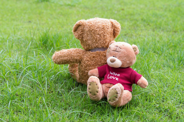 两只棕色的泰迪熊坐在草地上图片下载