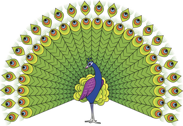 孔雀的颜色素材图片