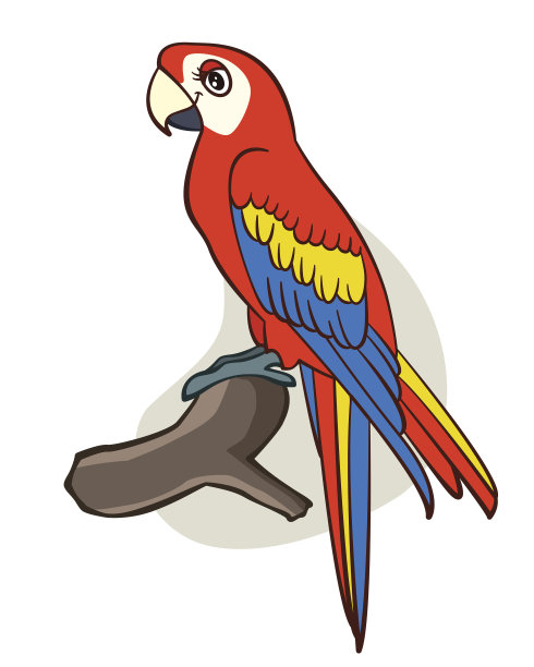 卡通的鹦鹉素材图片
