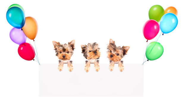 带气球和狗的节日横幅图片下载