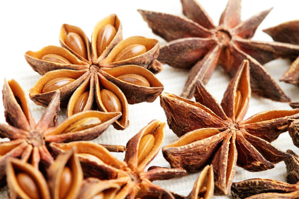 明星茴香图片下载