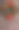 圣诞花环图片下载