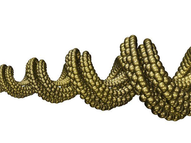 黄金螺旋图片下载