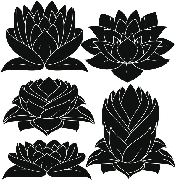 Lotus轮廓图片下载