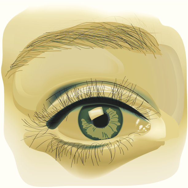 向量眼和眉毛图片下载