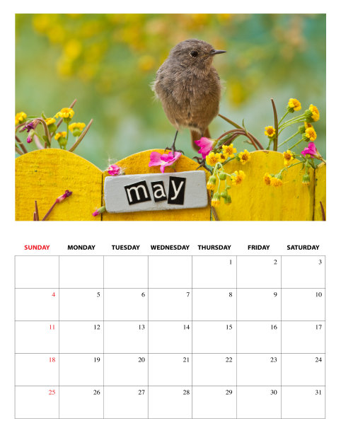 2014年5月日历图片下载