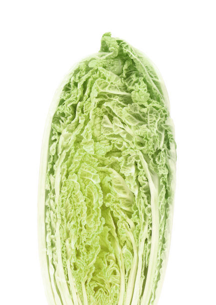 新鲜白菜片。图片下载