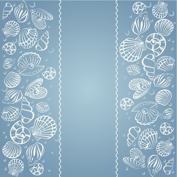 海贝的名片。图片下载