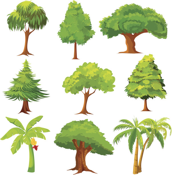 树的集合图片下载