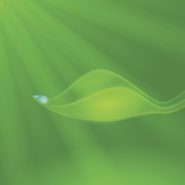 抽象背景与树叶和下降图片下载