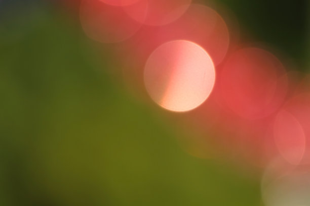 令人惊叹的圣诞彩灯图片下载