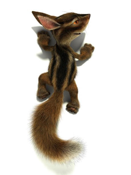 松鼠爬墙图片下载