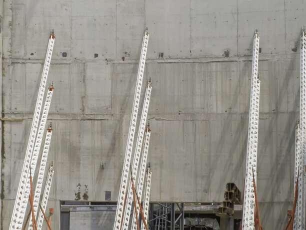 临时支持图片下载