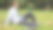 特写年轻漂亮的商人。图片下载