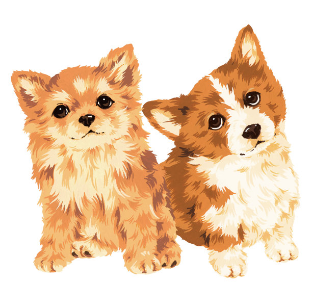 可爱的狗图片下载