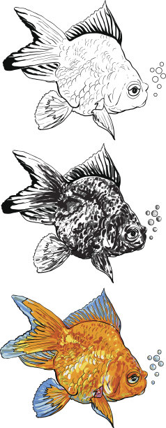 金鱼图片下载
