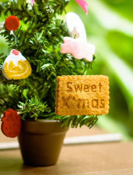 小圣诞树图片下载