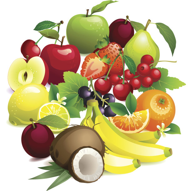 圆形包含不同的果实，有叶和花素材图片