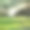 一个草坪洒水器浇灌草坪的特写图片下载