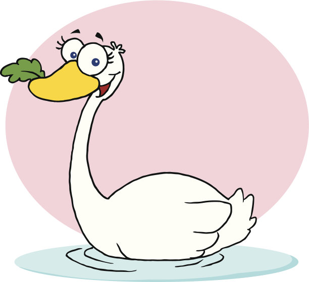 天鹅与背景图片下载