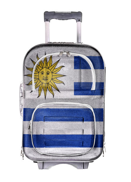 旅行箱，移民的概念图片下载