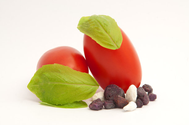 重要的和番茄图片下载