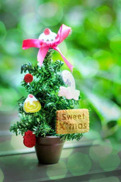 小圣诞树图片下载