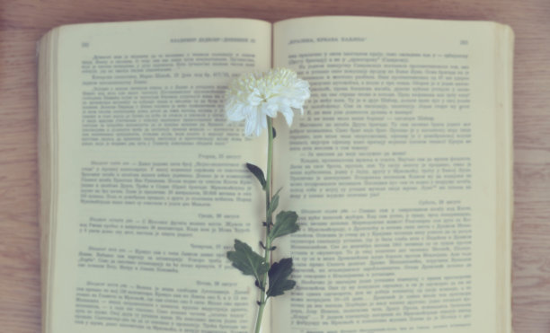 带花的旧书图片下载