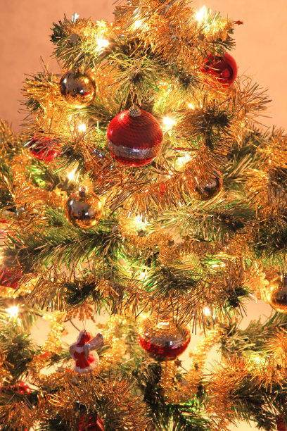 圣诞树图片下载