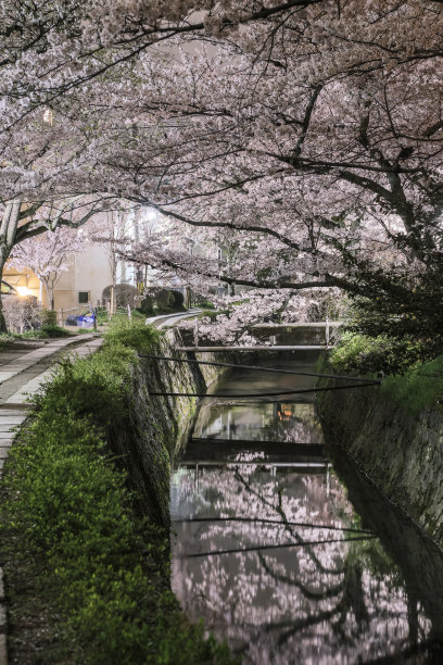 水运河图片下载