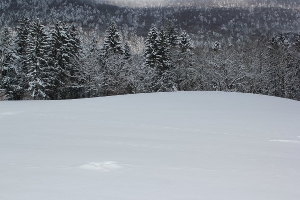 温特兰沙夫特图片下载