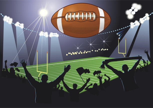 美式橄榄球场。球。球迷图片下载