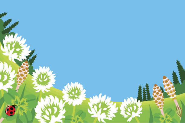 春天草地上的野花图片下载