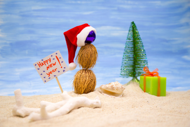 2 .新年英语作文图片下载