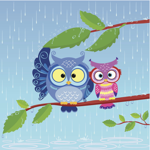 猫头鹰雨图片下载